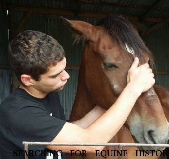  SEARCHING FOR EQUINE HISTORY Booster,  Near Fountain Hill, AR, 95949